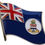 Thumbnail: flag pins
