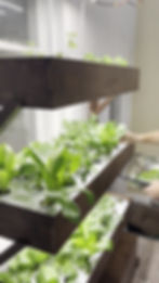 Thumbnail: Indoor Garden 4' (Pre-Built)