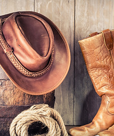 Cowgirl Boots