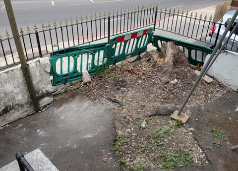Rubbish cleared in Forest Hill SE23