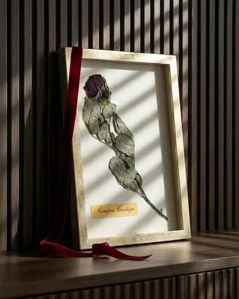 Rosa preservada enmarcada en caja profunda o shadow box con moldura dorada y placa grabada "Siempre Contigo".