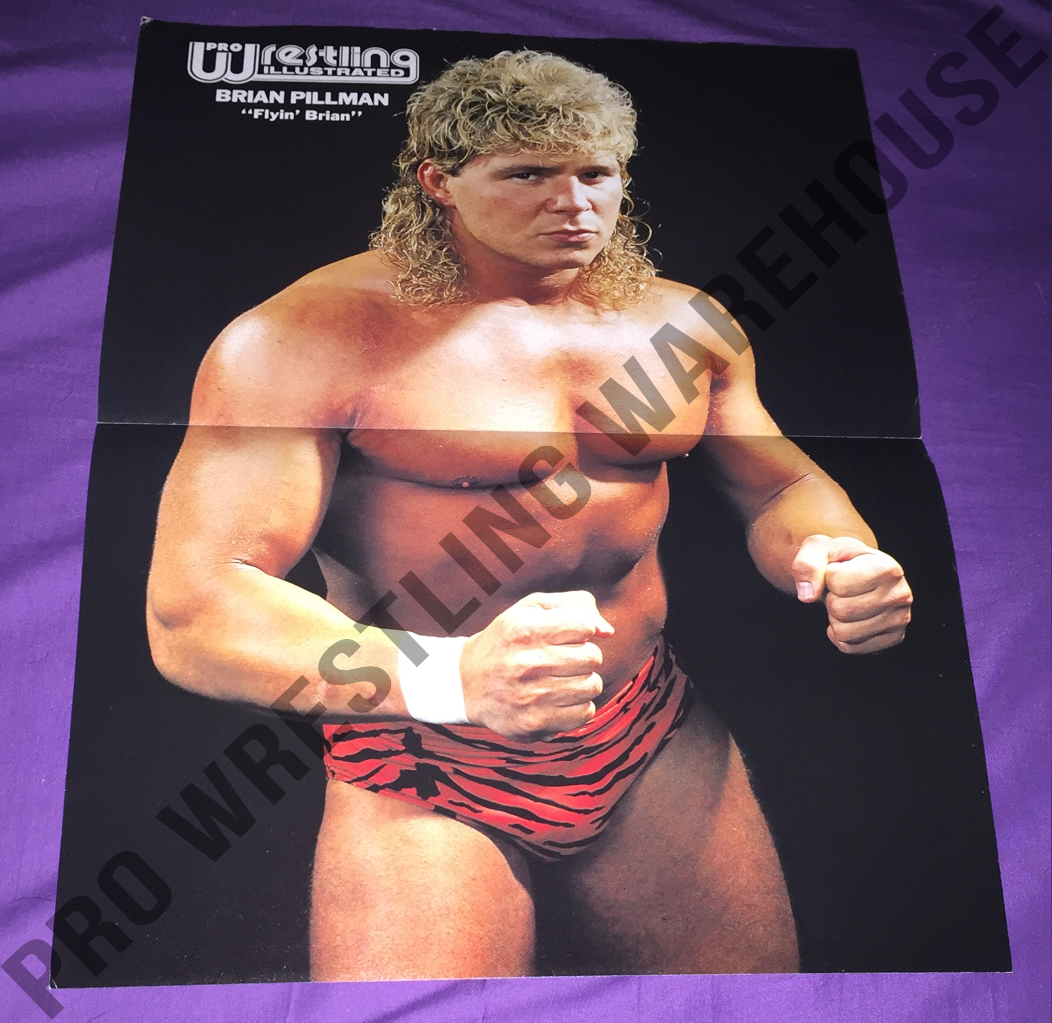 “Flying” Brian Pillman Poster - NWA, WCW