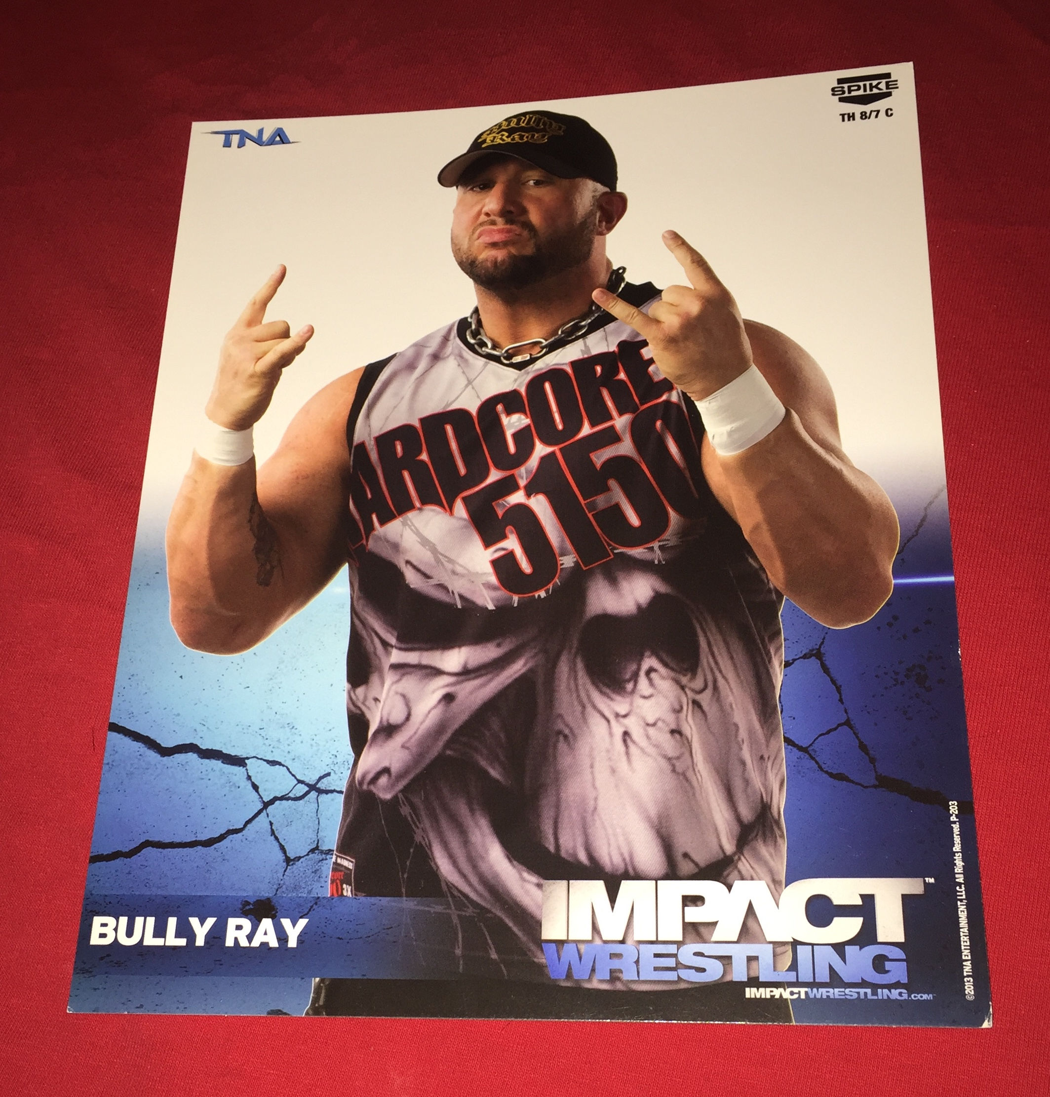 Bully Ray 8x10 Promo Photo 