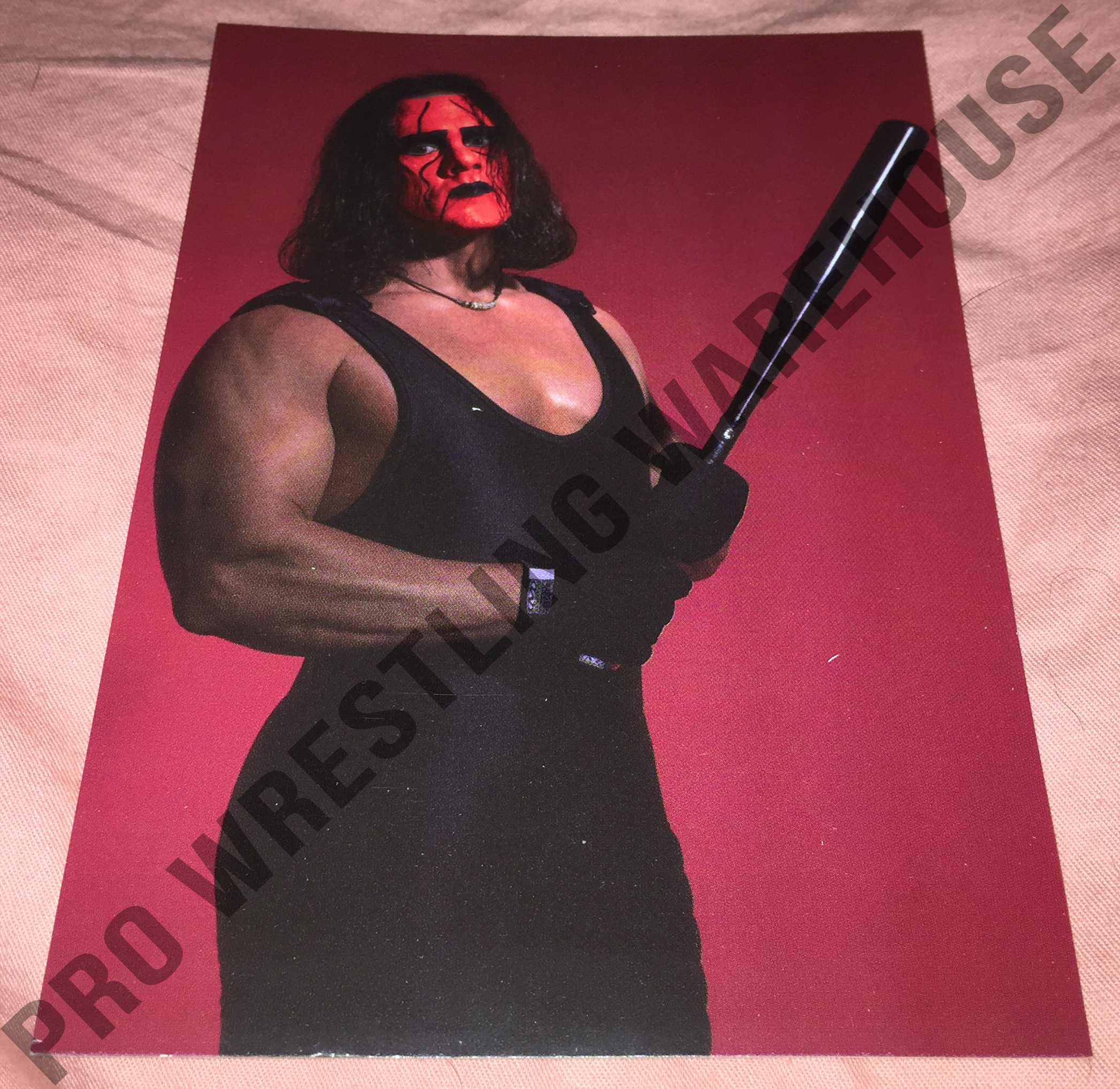STING WCW - nWo 4x6 Wrestling Promo Photo