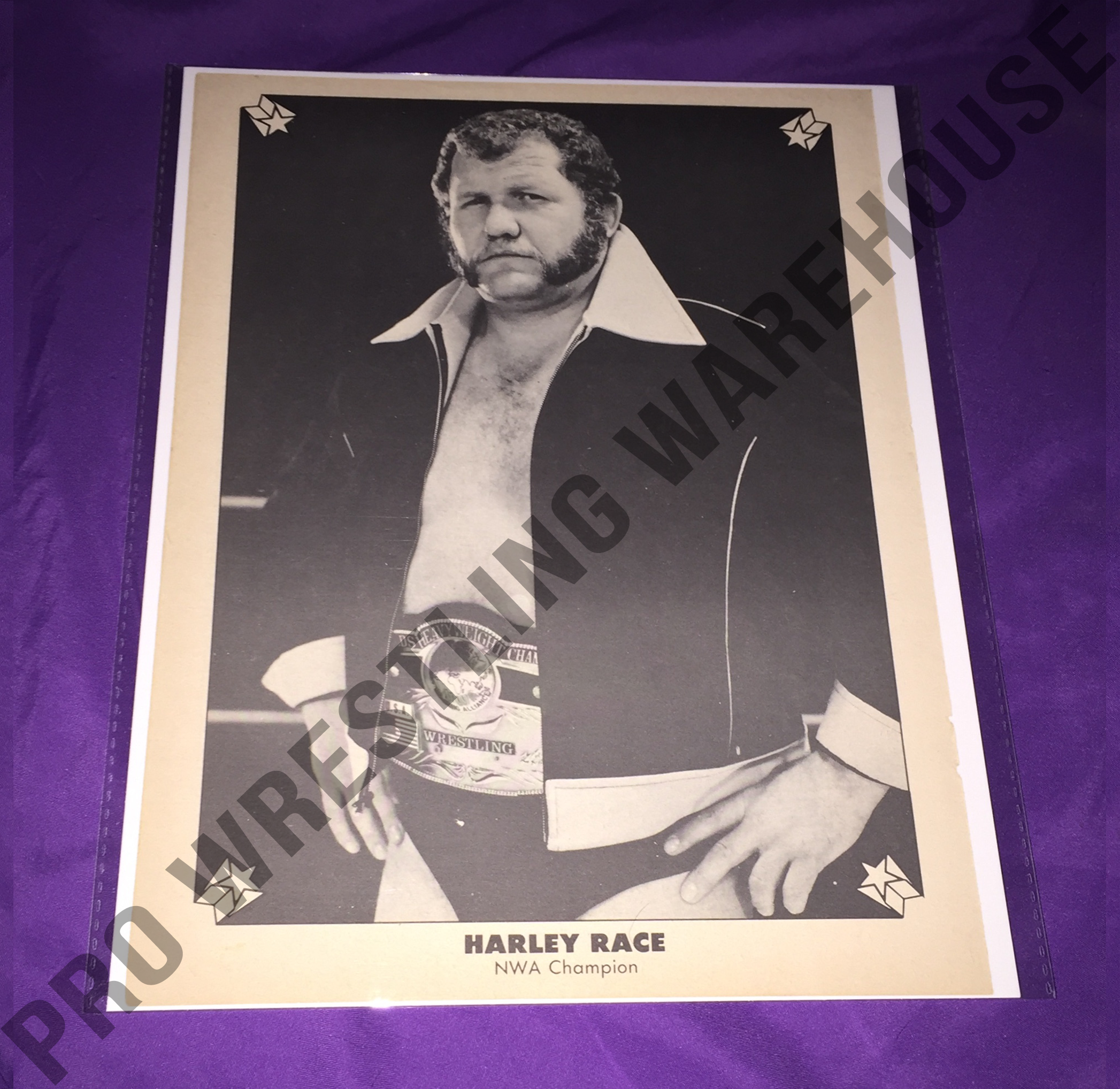 Harley Race Vintage Wrestling Pin-Up, NWA Belt