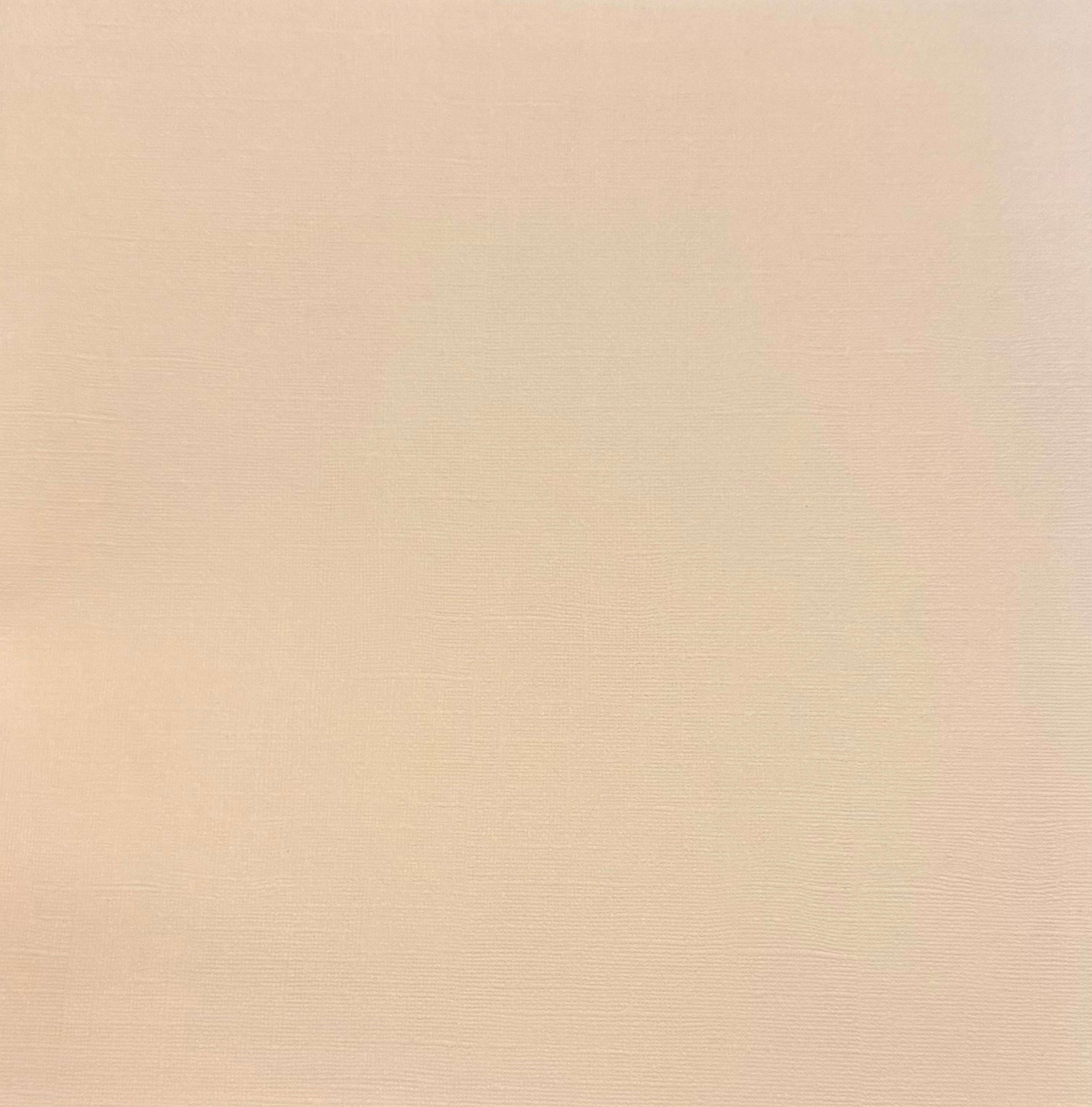 Soft Apricot (canvas) Bazzill