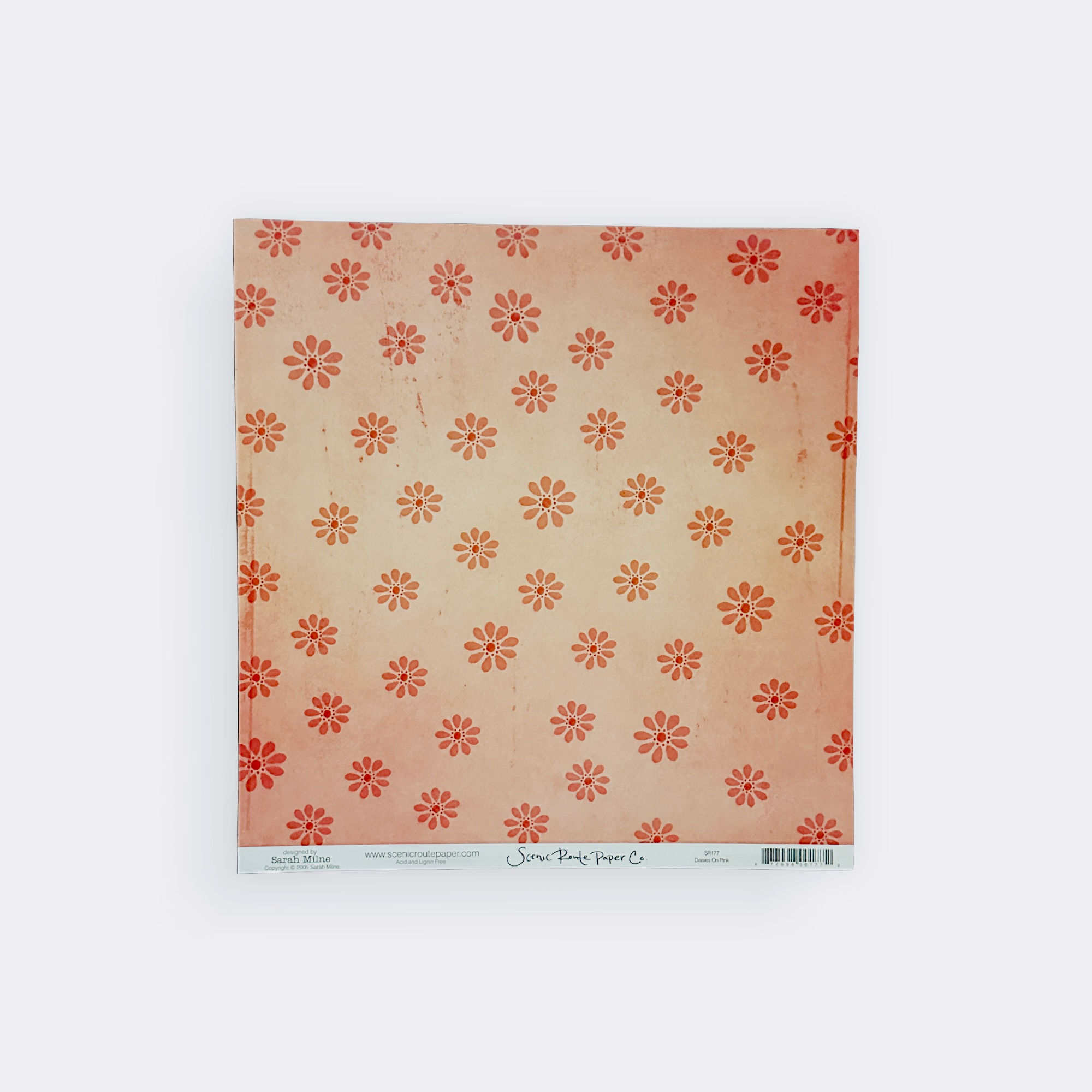 Daisies on Pink paper