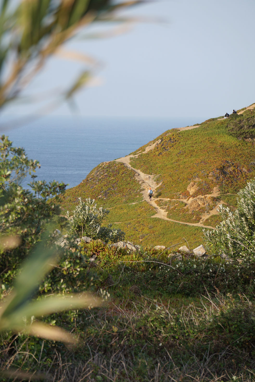 DSC05827.JPG