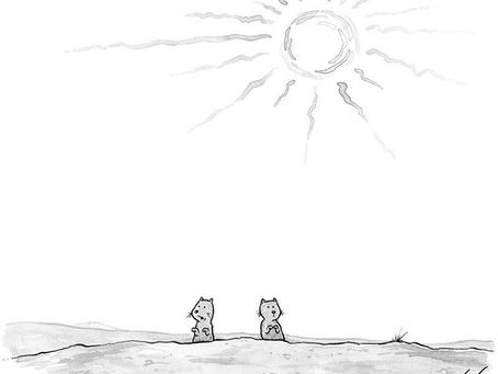 New Normal, New Perspectives