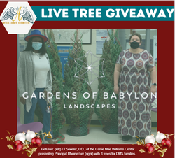live tree giveaway cover.png