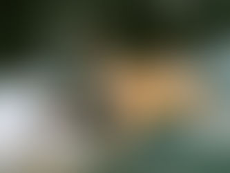 Phil's Plays Guitar - Senior Class 2024