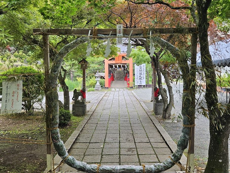 夏越 大祓 受付