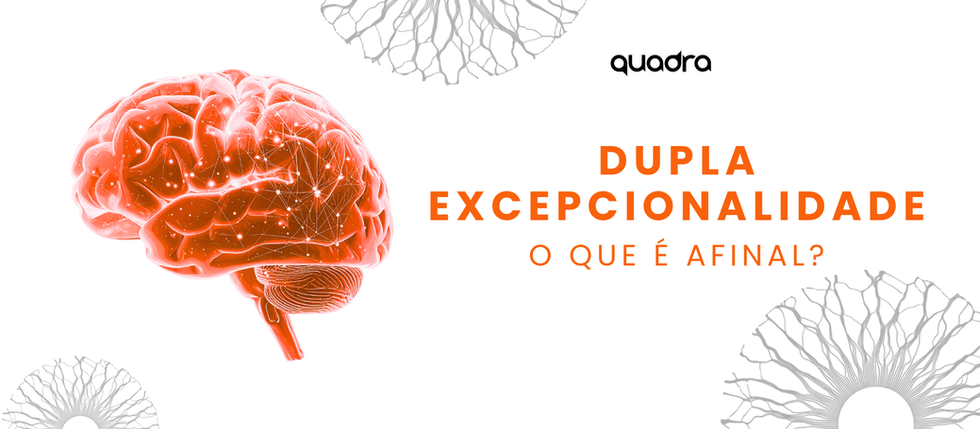 Dupla Excepcionalidade