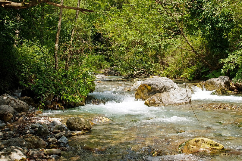 riviere sauvage.jpeg