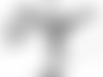 Specialist Eat Generalists