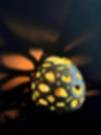 handgemaakte keramiek lamp, vervaardigd van klei