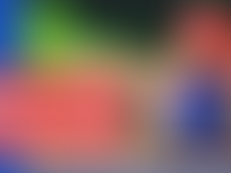 Risk management examples transcript