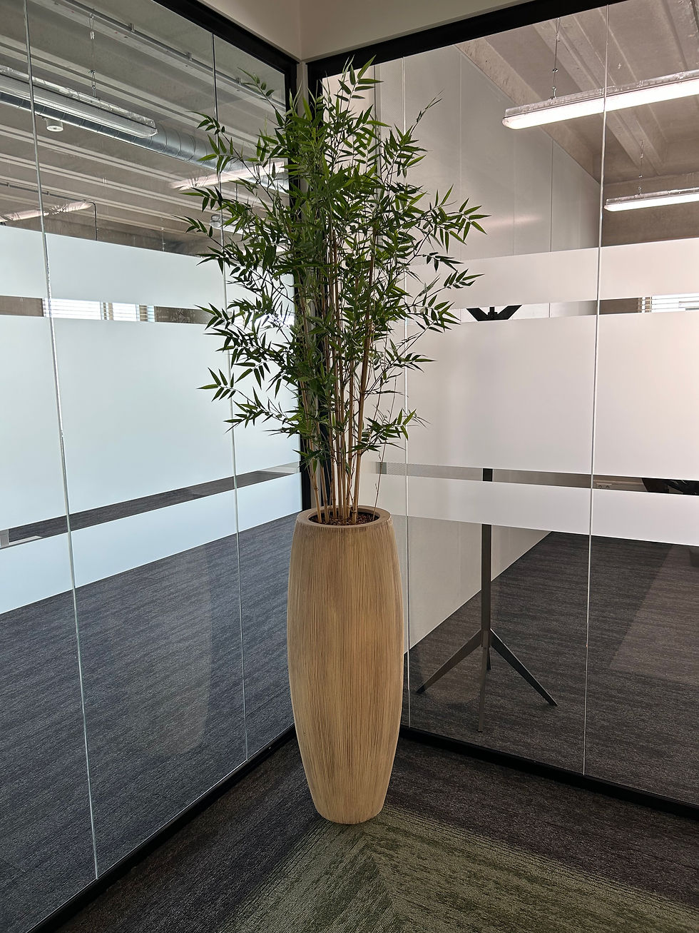 Zapp Office