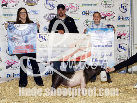 Ohio Pigs Summer Show Circuit