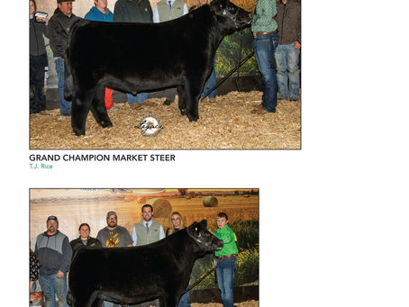 Show Results: NILE, North Carolina State Fair, Riley Roundup