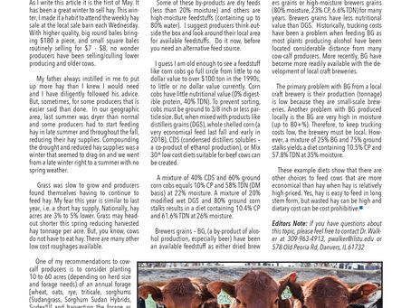Cows Don't Have to Eat Hay