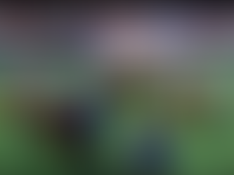 Live Stream Schedule of Houston Livestock Show and Rodeo