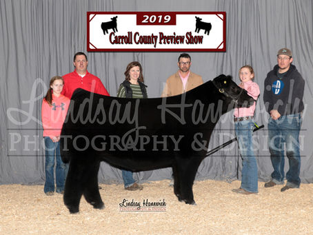 Carroll Co Preview