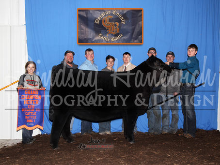 Decatur Co. Cattle Battle