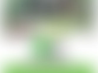 SC Upcoming Deadlines!