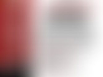 2020 NWSS Media Scholars Program 