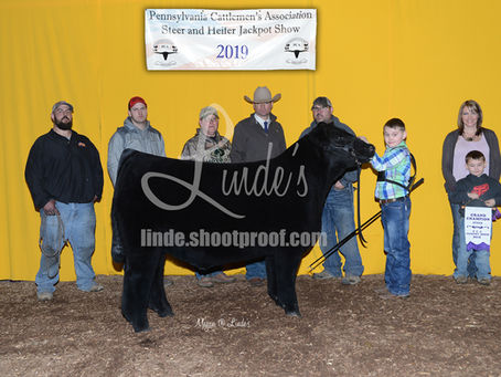 Pennsylvania Cattlemen's Association Spring Jackpot Show