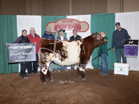 Michigan Beef Expo Winners