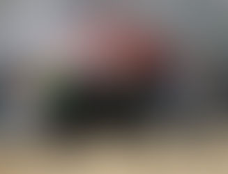 Illinois Beef Expo Winners