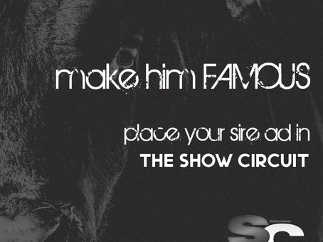 We're booking ads for the May/June/July issue! 