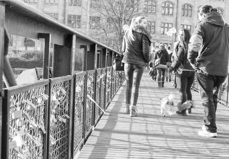 hund20brugg.jpg