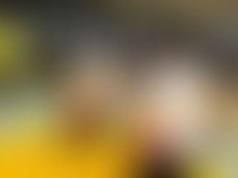 从零开始：我的空手道初体验