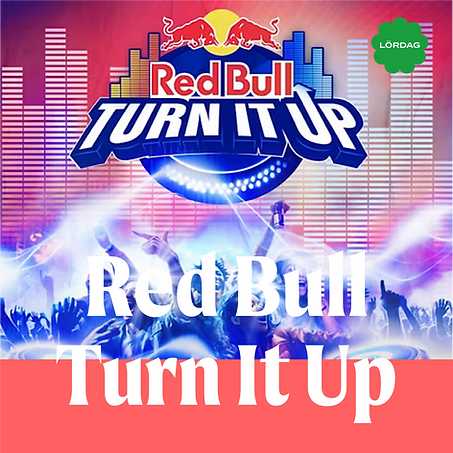 RedBullTurnItUp_Bonfire_lineup-2025_3x-.png