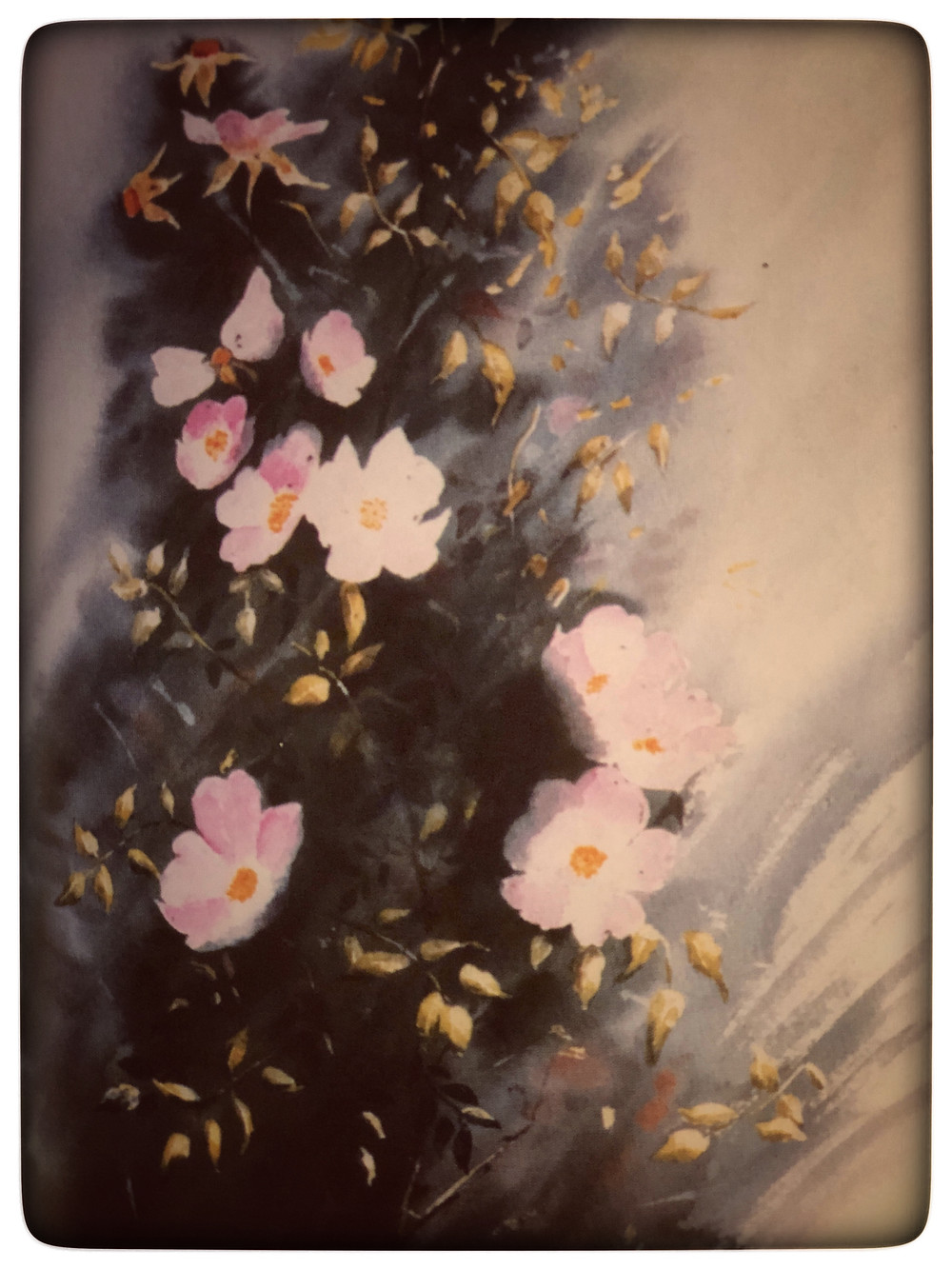 Passage and Sketch from "A Year in a Meadow", Pat Smith, 2002 (my grandmother's cousin)