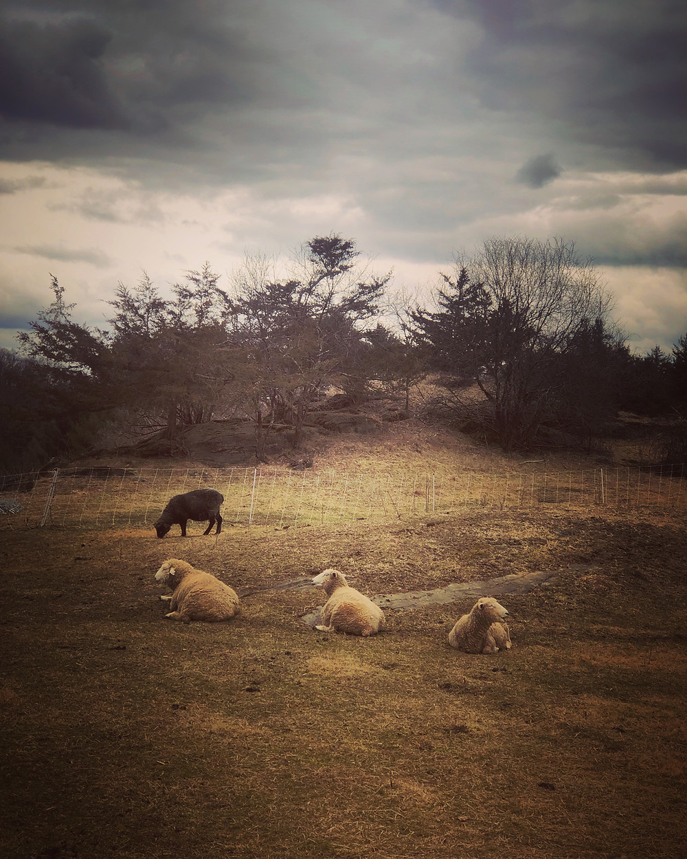 Steady as the storm moves on...