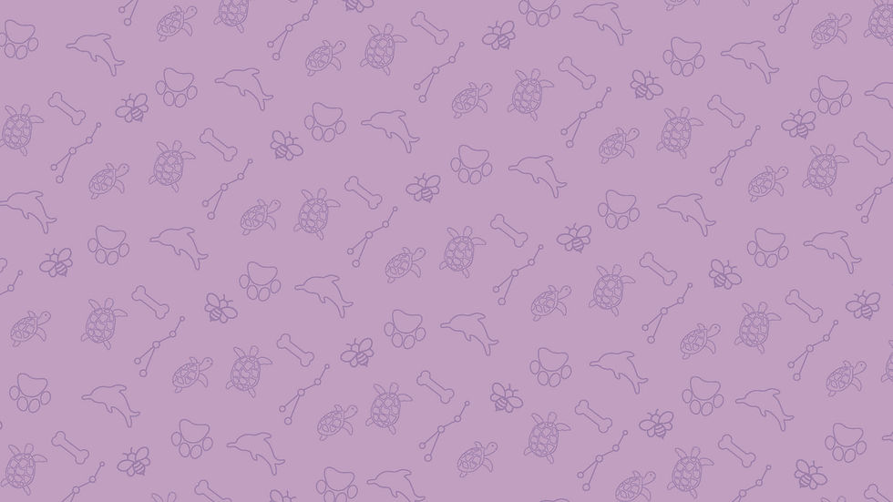 Charli_ZoomBackground_Options_Generic_P1_Page_2.jpg