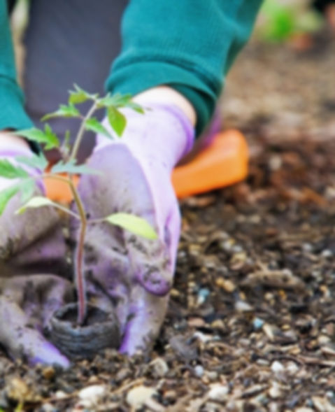 Gardening