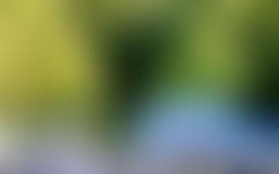 FC町田ゼルビア「Ｚ劇場ソレイユあやめスペシャルステージ2022」@町田ＧＩＯＮスタジアム