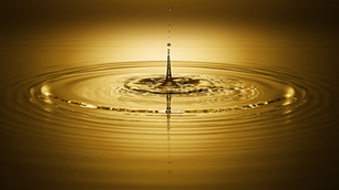 Getting the Most Out of the Energy of Your Dollar