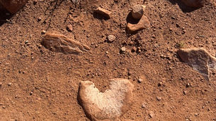 How Sudden Death Led Me To My Great Awakening