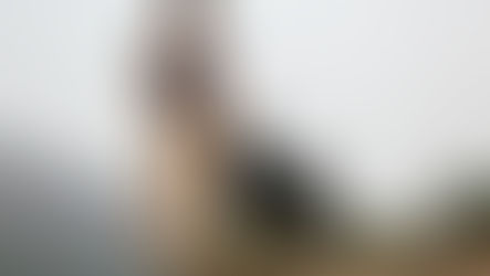 everything is a habit... who's running the show? 