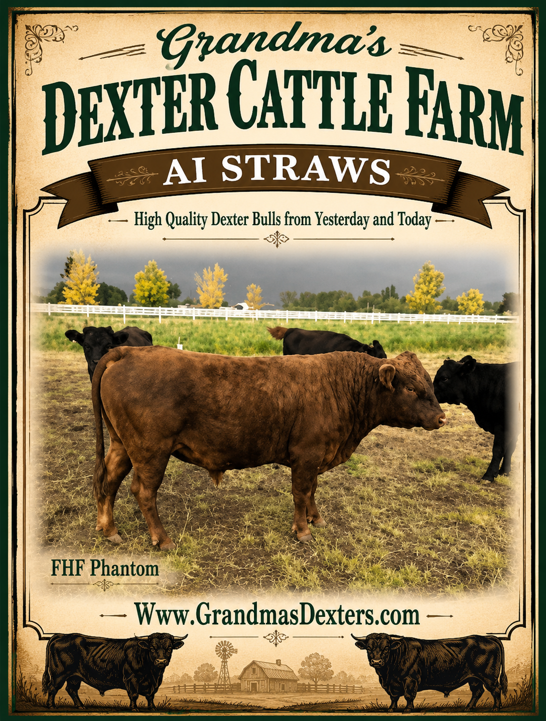 FHF Phantom - AI Straws Dexter Bull
