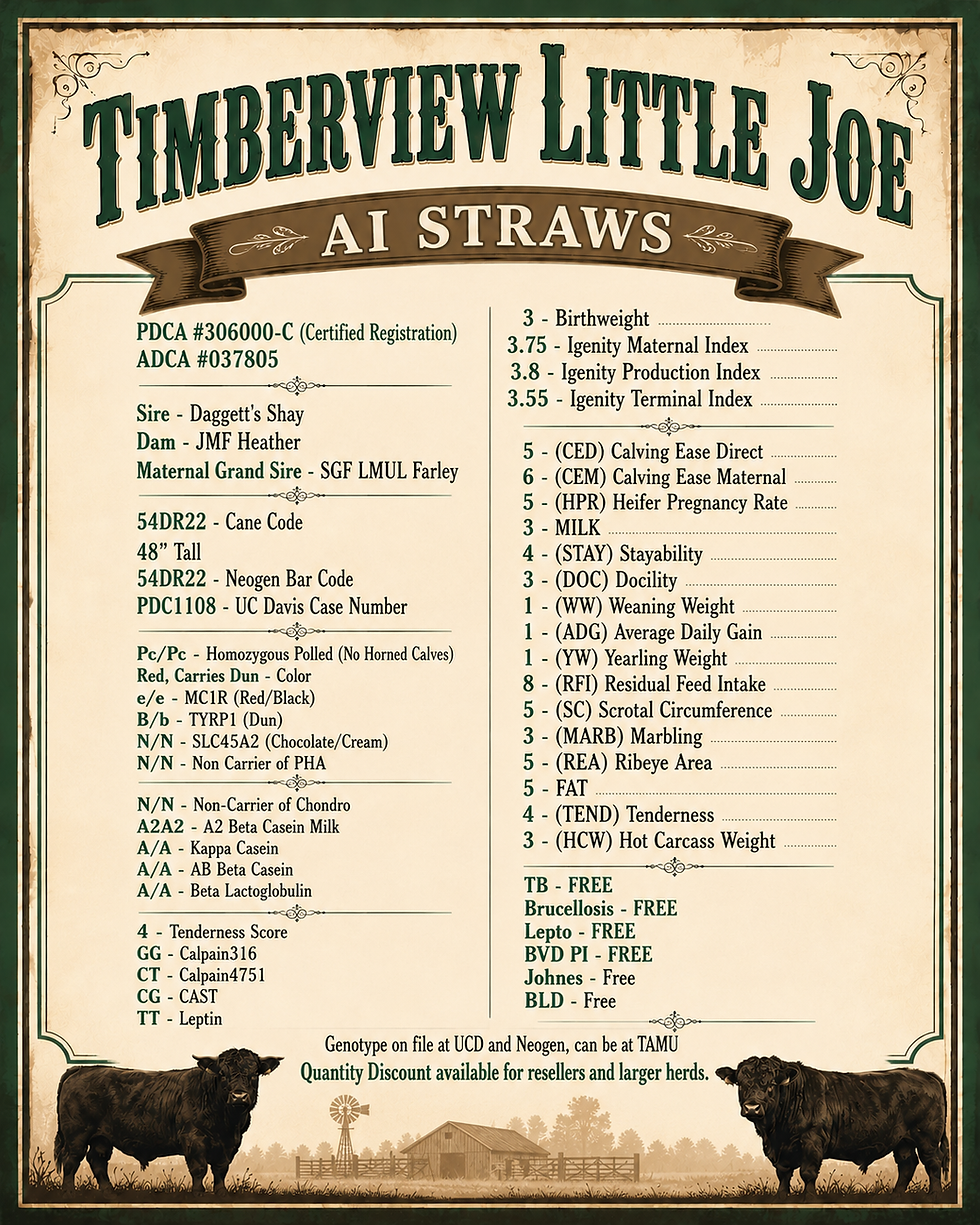 Thumbnail: Timberview Little Joe - AI Straws Dexter Bull