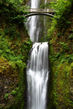 AdobeStock_231871275.jpeg