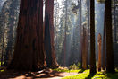 AdobeStock_43790314.jpeg