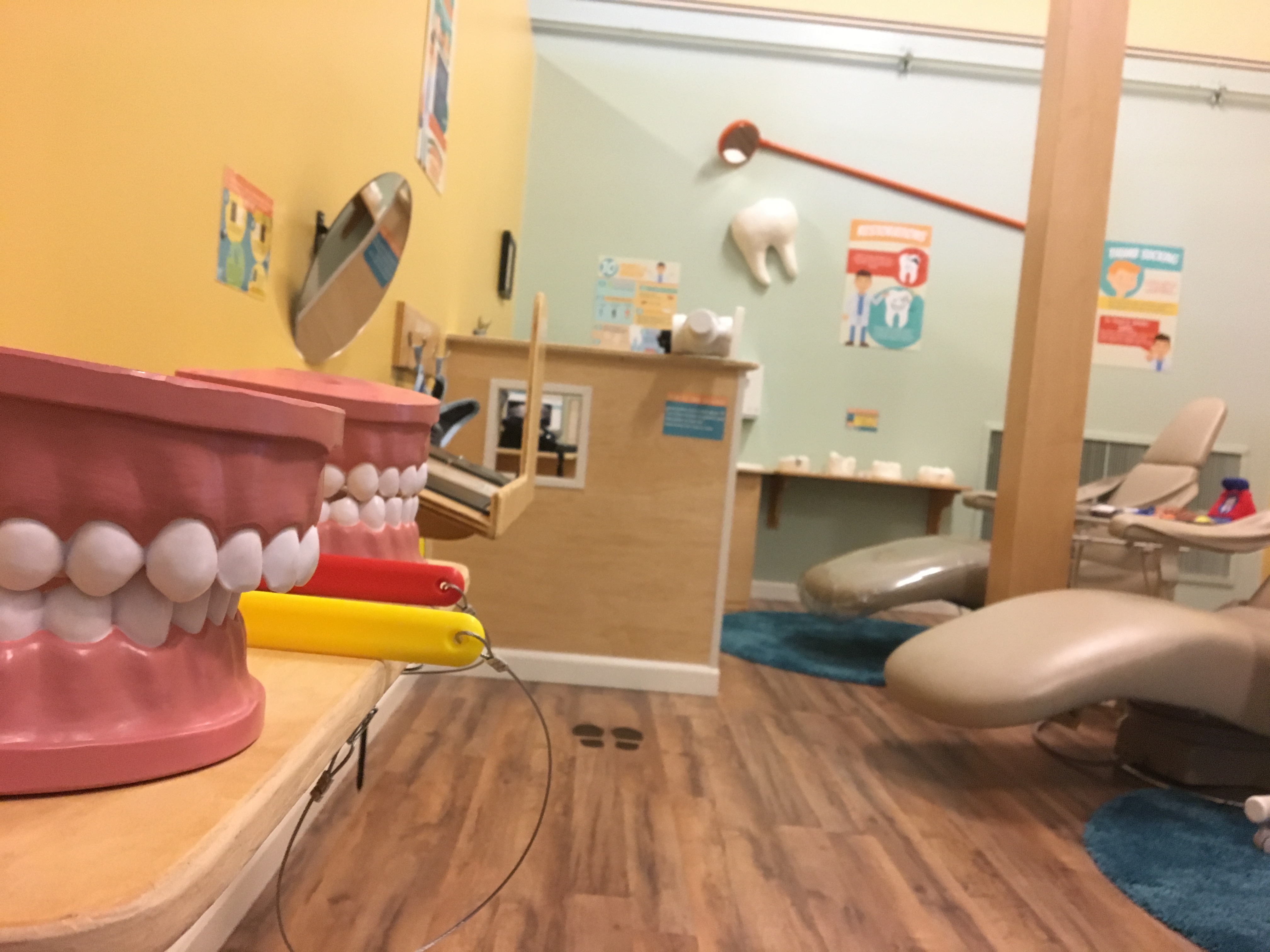 Dental Exhibit Hands-on Stations